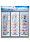 Hiệu quả năng lượng Hiệu quả năng lượng Hiển thị Thương mại Tủ đông Tủ lạnh kín cho Cửa hàng