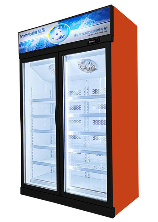 Hiệu quả năng lượng Hiệu quả năng lượng Hiển thị Thương mại Tủ đông Tủ lạnh kín cho Cửa hàng