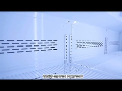 5 Layers Glass Door Commercial Supermarket Display Freezer -22°C