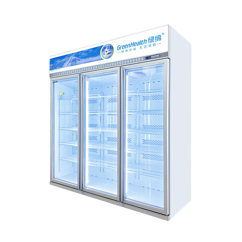 Tiết kiệm năng lượng Khả năng tùy chỉnh màn hình thương mại Tủ đông để bảo quản thực phẩm