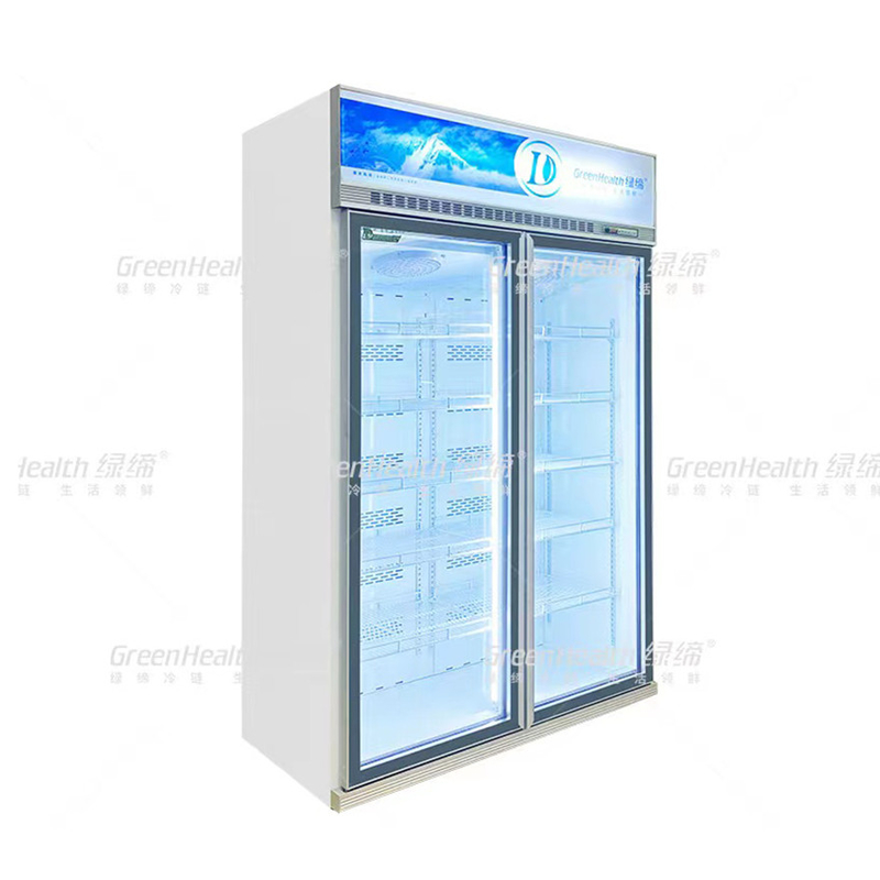 Phong trào biến động thương mại thẳng đứng 2 cửa hiển thị tủ đông với quạt làm mát và LED