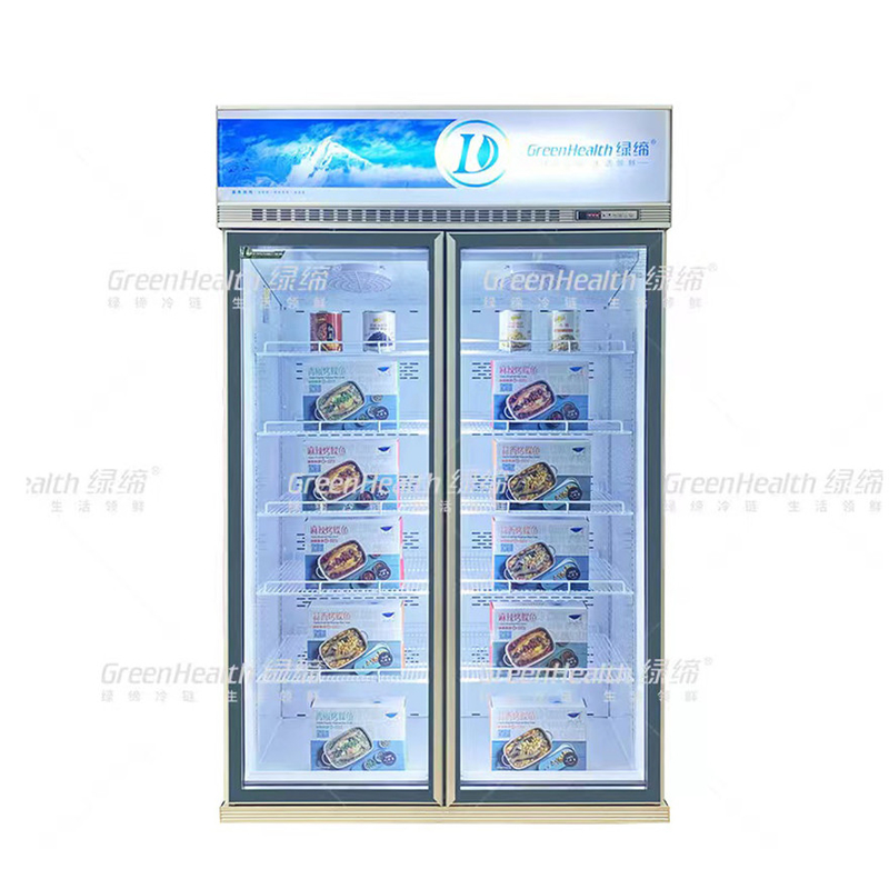 Phong trào biến động thương mại thẳng đứng 2 cửa hiển thị tủ đông với quạt làm mát và LED