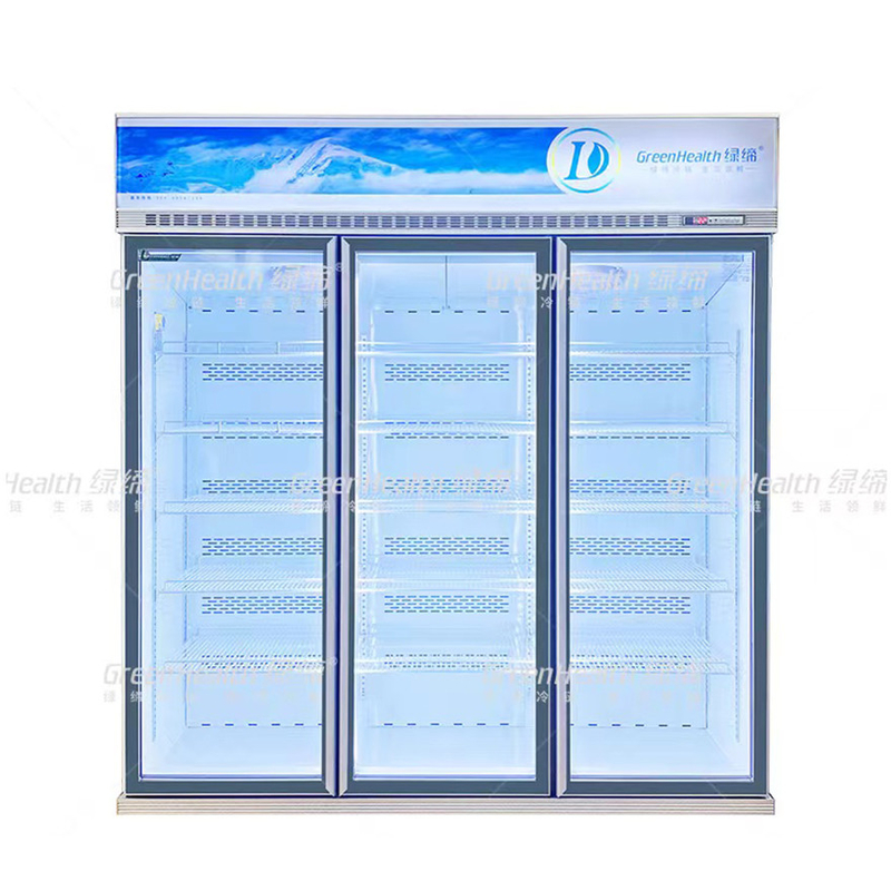 Phong trào biến động thương mại thẳng đứng 2 cửa hiển thị tủ đông với quạt làm mát và LED
