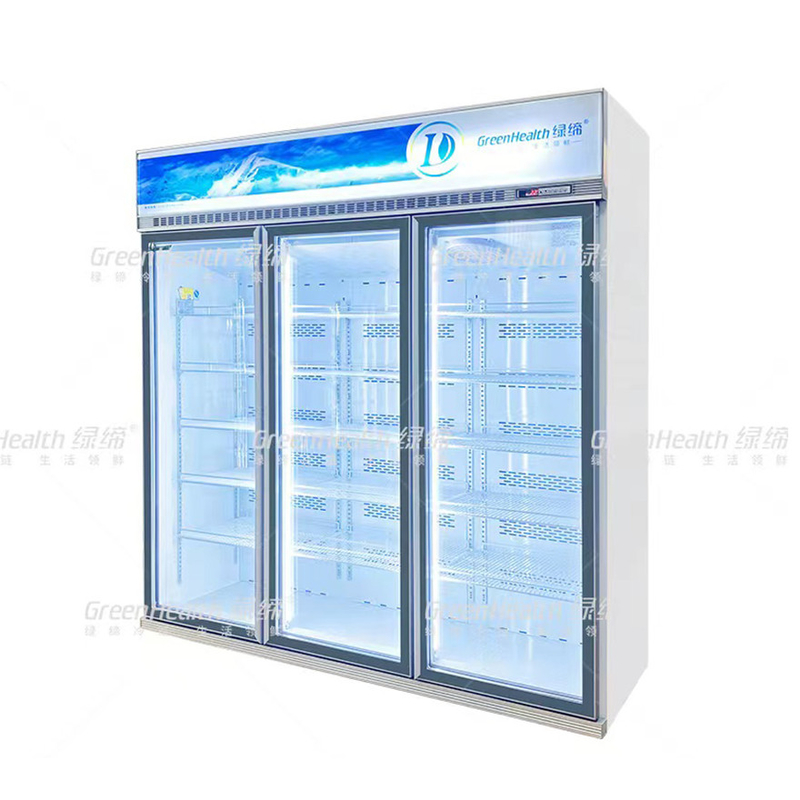 Phong trào biến động thương mại thẳng đứng 2 cửa hiển thị tủ đông với quạt làm mát và LED