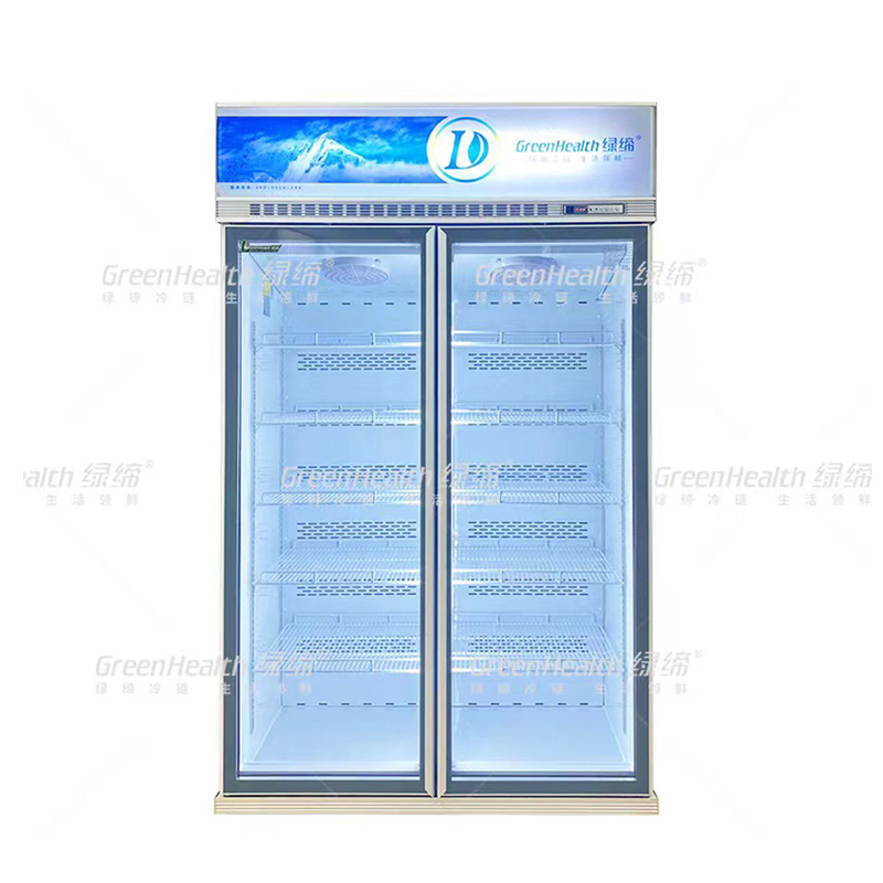 Phong trào biến động thương mại thẳng đứng 2 cửa hiển thị tủ đông với quạt làm mát và LED