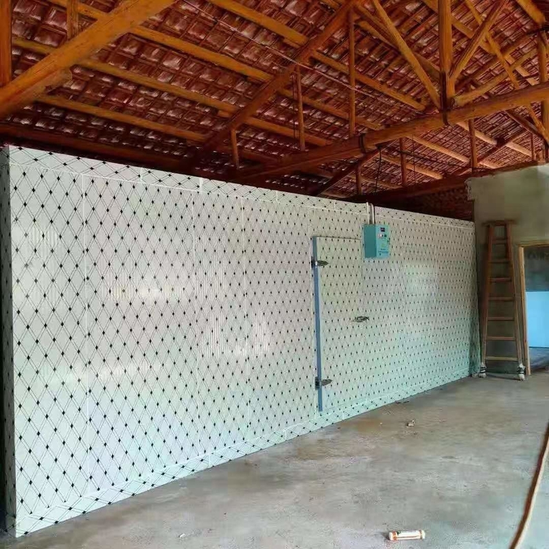 Tủ lạnh phòng lưu trữ Walk-In của Coolers Walk-In tủ lạnh với hệ thống làm lạnh