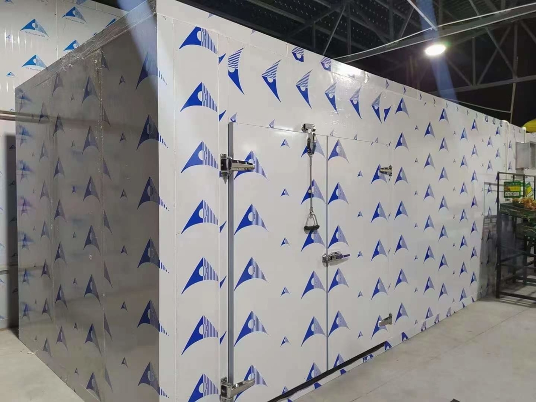 Các tấm PU phòng lưu trữ lạnh Đi bộ trong tủ lạnh Phòng lạnh mô-đun với nhiệt độ khác nhau