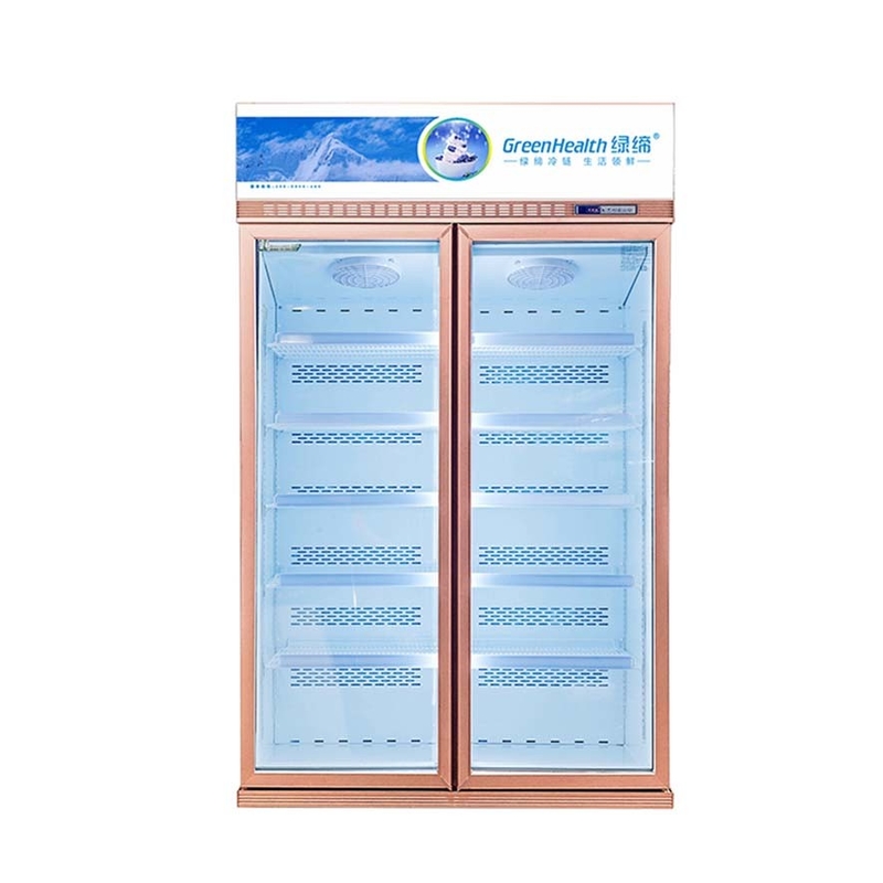 5 lớp kệ bạc Champagne màu kính cửa đông lạnh cho hải sản đông lạnh