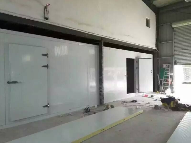 Các tấm sandwich polyurethane PU hiệu suất cao cho phòng lưu trữ lạnh đi bộ trong tủ đông