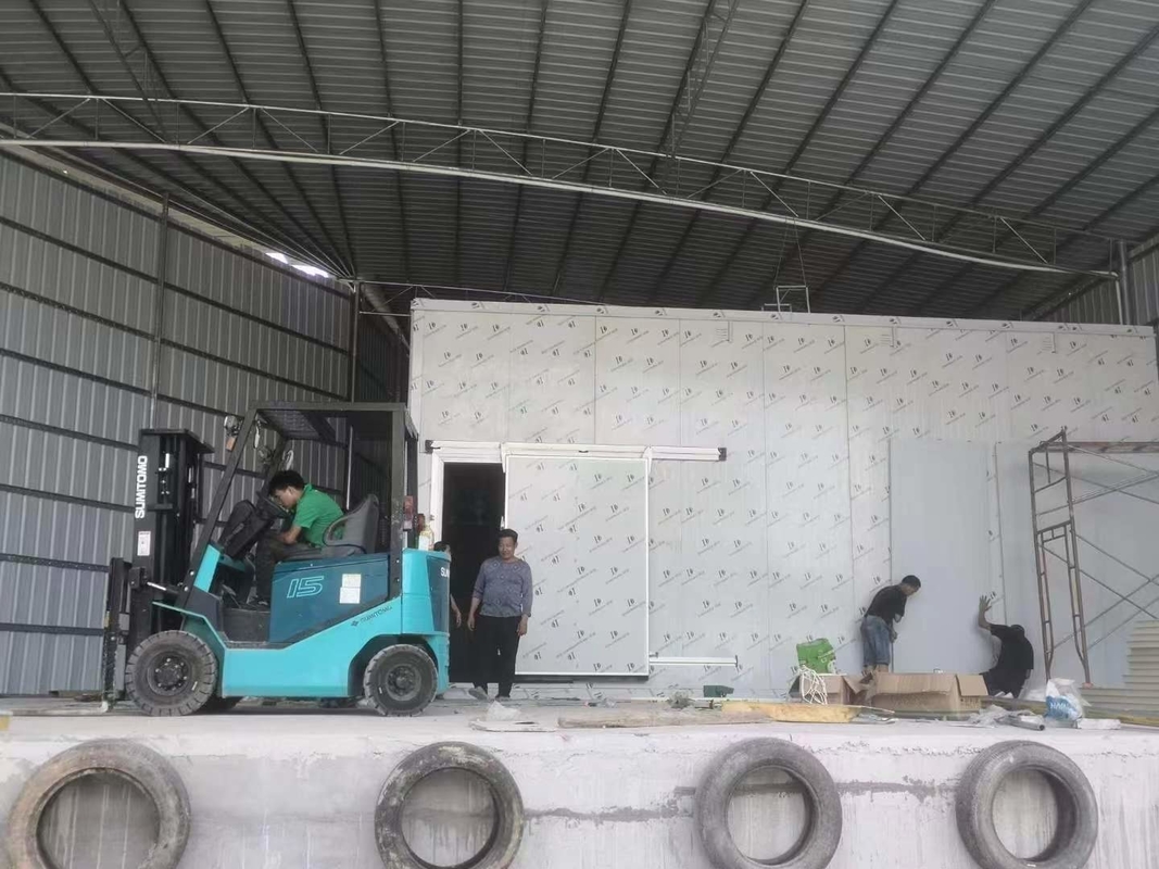 Phòng lưu trữ thực phẩm thương mại Phòng lưu trữ lạnh Phòng đông trong nhà Đi bộ với sàn