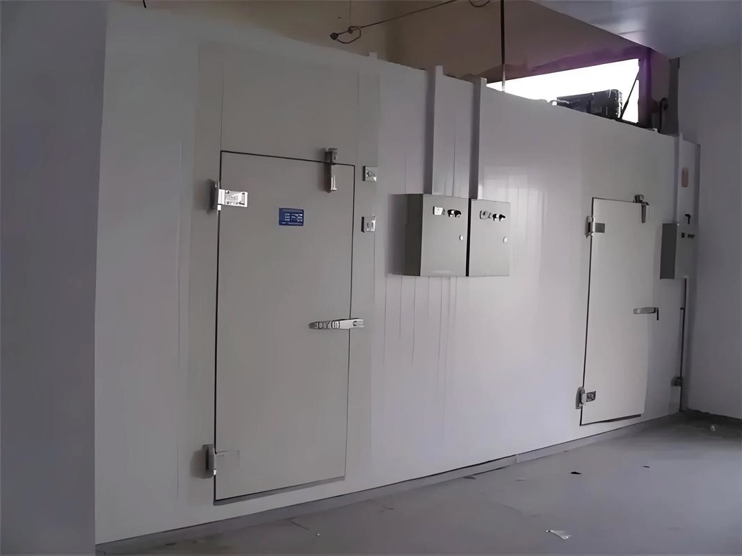 Lưu trữ hàng loạt Lưu trữ phòng lạnh Đi bộ vào phòng lạnh với hệ thống làm lạnh phòng lạnh