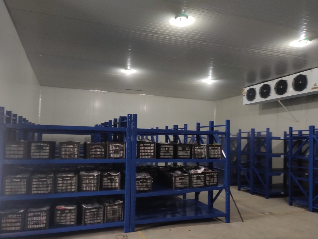 Tủ lạnh cỡ nhỏ Giá phòng lạnh cỡ nhỏ cho thịt và hải sản