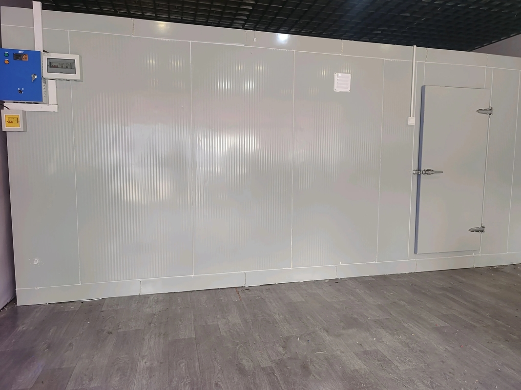 Phòng lạnh lưu trữ mô-đun, yêu cầu đông lạnh sâu, phòng lạnh với nhiệt độ từ -18 đến -22 độ C