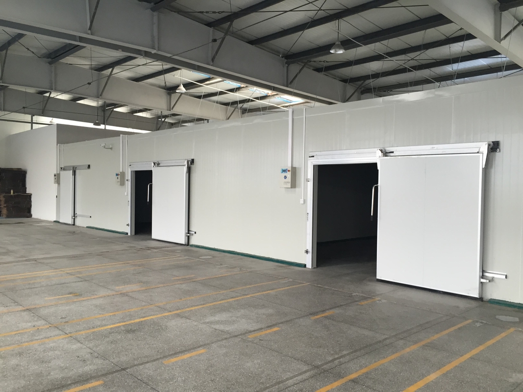 Giải pháp lưu trữ thực phẩm Phòng chứa lạnh Phòng đông thương mại Walk-In với nhiệt độ tùy chỉnh