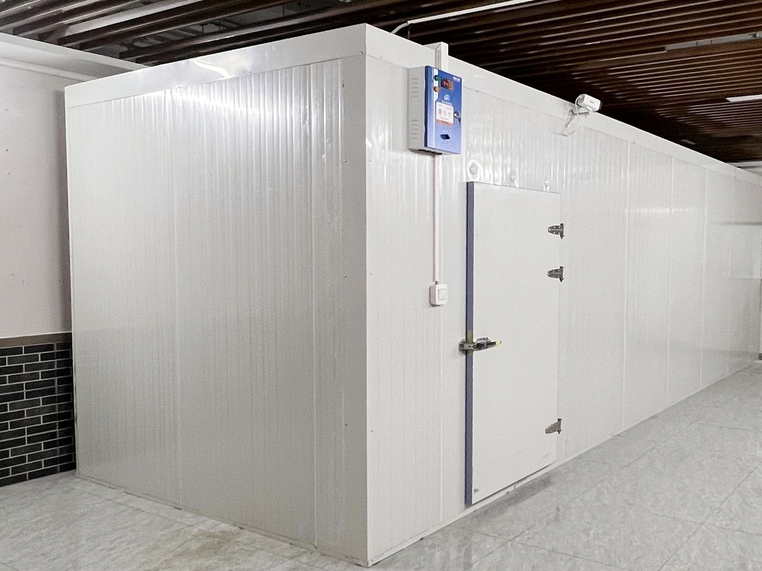 Giải pháp lưu trữ thực phẩm Phòng chứa lạnh Phòng đông thương mại Walk-In với nhiệt độ tùy chỉnh