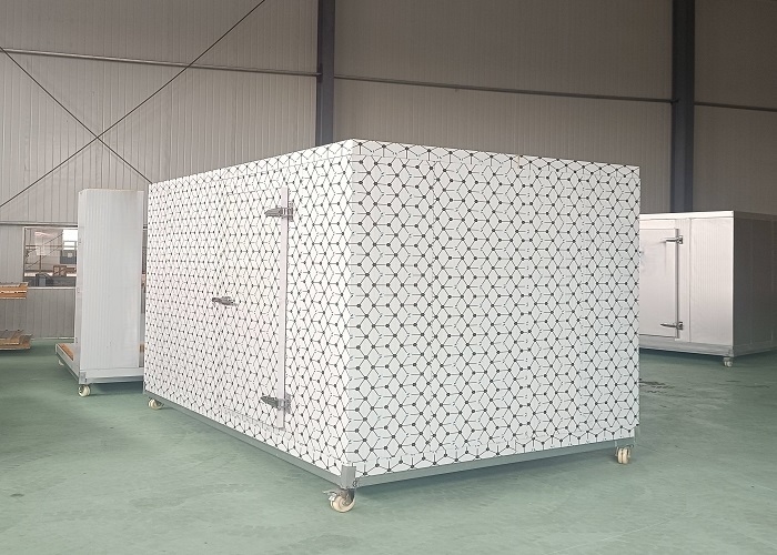 Pu Panel chất lượng cao thương mại đi bộ trong kho lạnh tủ đông cho trái cây và rau quả