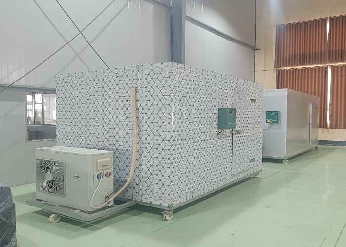 Tùy chỉnh thương mại đi bộ trong tủ đông tủ lạnh phòng lưu trữ lạnh cho chế biến thịt thịt