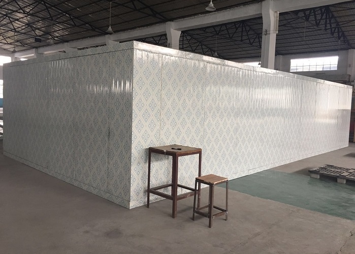 Tùy chỉnh thương mại đi bộ trong tủ đông tủ lạnh phòng lưu trữ lạnh cho chế biến thịt thịt