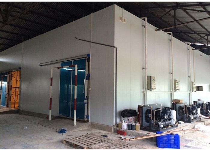 Tùy chỉnh thương mại đi bộ trong tủ đông tủ lạnh phòng lưu trữ lạnh cho chế biến thịt thịt