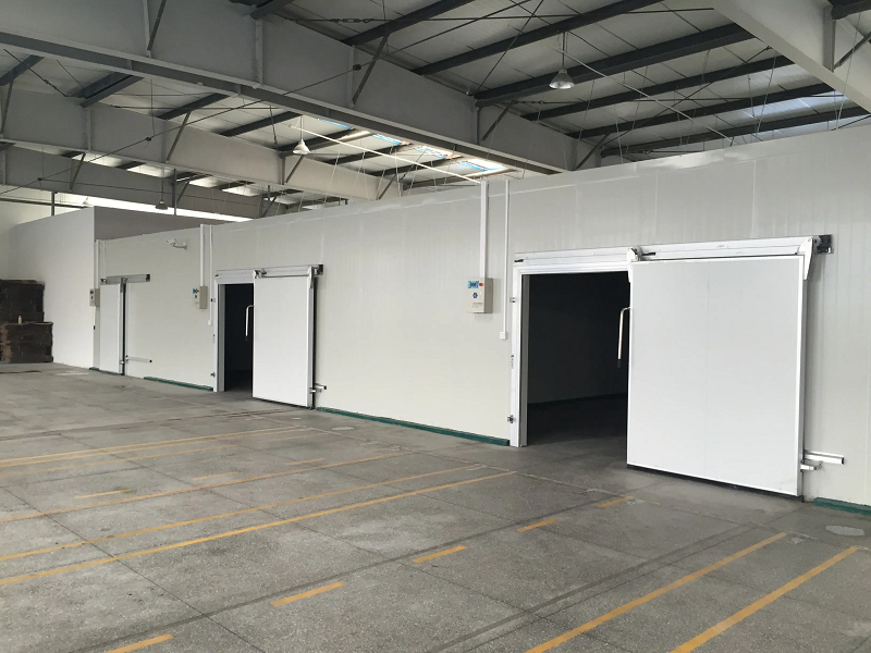 Phòng lạnh kho lạnh panel sandwich giá tốt 20ft để đi bộ vào, kho lạnh