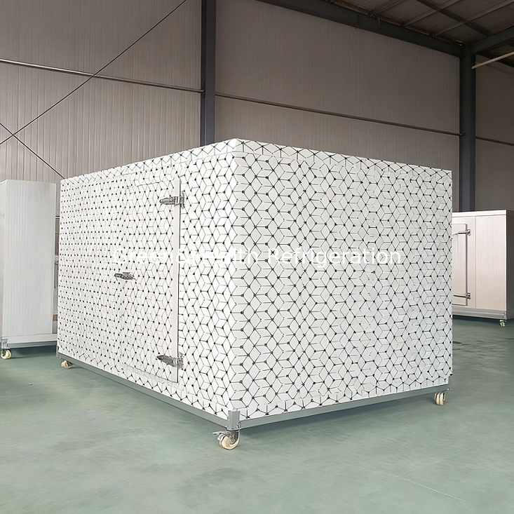 Quảng Châu tùy chỉnh đi bộ trong tủ lạnh phòng lưu trữ lạnh đơn vị cho chế biến thịt thịt.