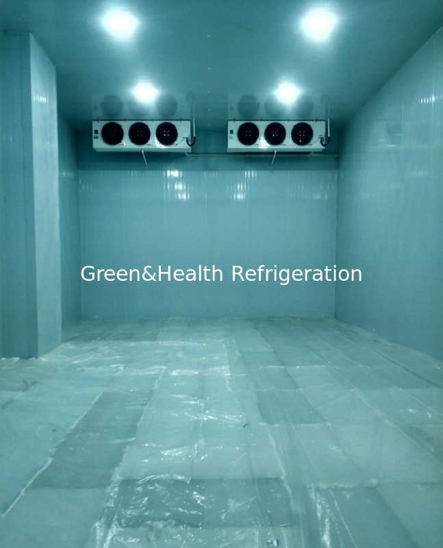 Phòng lưu trữ lạnh tùy chỉnh, có sẵn nhiều kích thước và dải nhiệt độ khác nhau, đáp ứng các yêu cầu cá nhân của bạn