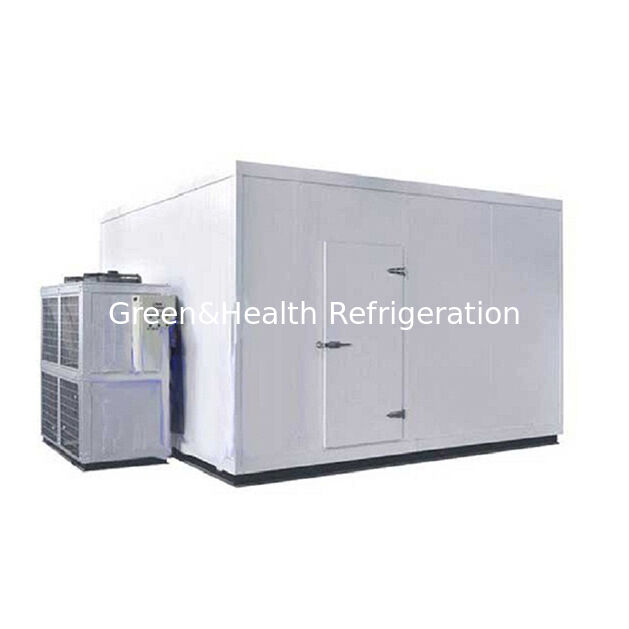 Siêu thị quy mô lớn thương mại lưu trữ sản phẩm thực phẩm trong kho lạnh đông lạnh