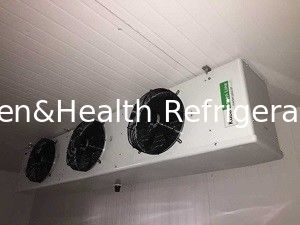 Phòng bảo quản lạnh có độ dày 50mm với thiết bị ngưng tụ loại chia cho thực phẩm đông lạnh