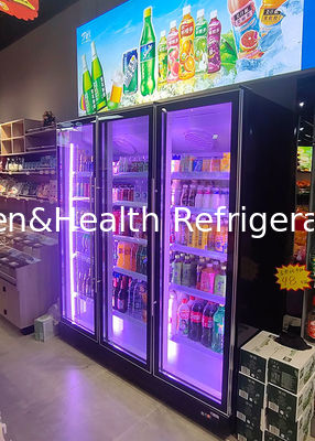 Thương mại dọc bia hiển thị mát cửa hai đồ uống tủ lạnh
