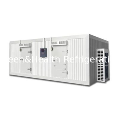 Phòng chứa lạnh tùy chỉnh cho thịt bò và thịt đông lạnh Đi bộ trong phòng